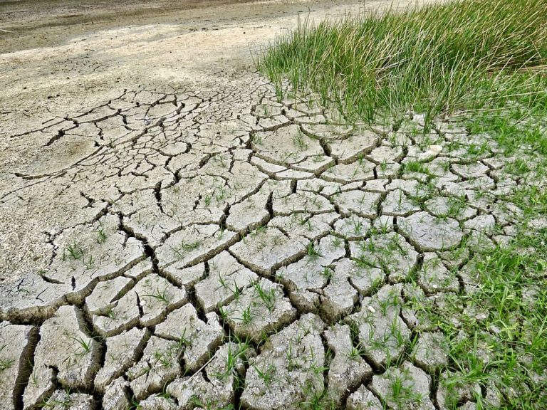 Drought